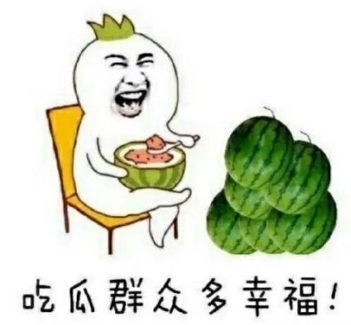 娱乐吃瓜地,吃瓜群众背后的故事